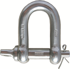 Grade 60 stainless steel D- Safety Shackle